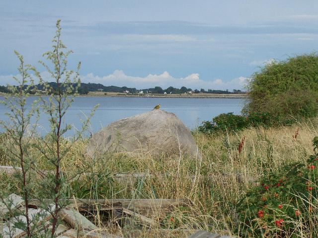 DSCF1393.JPG