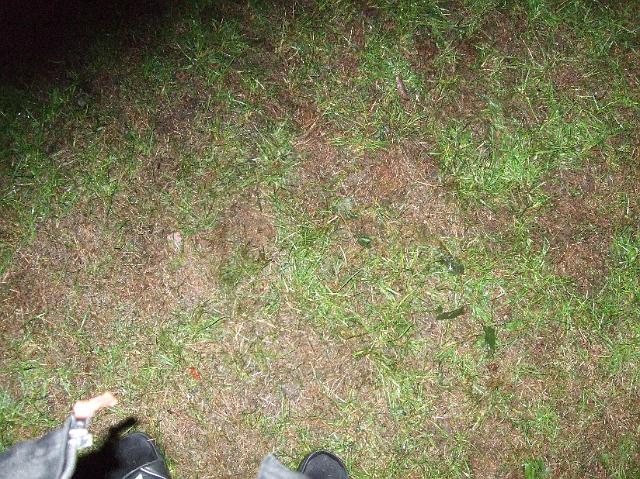 DSCF1424.JPG