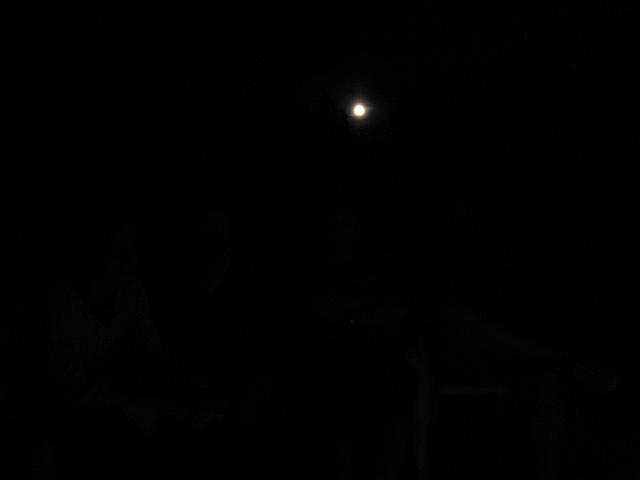 IMG_6315.JPG