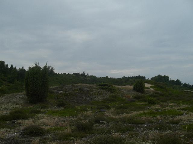 CIMG2439.JPG