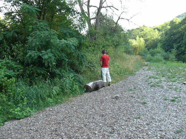 CIMG0383.JPG