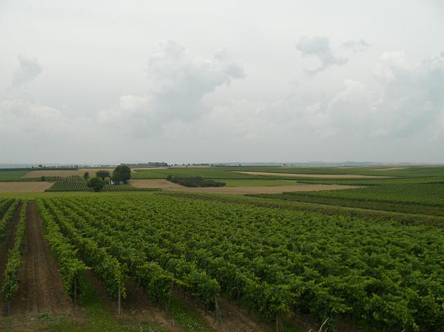 CIMG0400.JPG