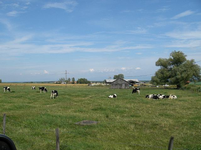 CIMG0411.JPG