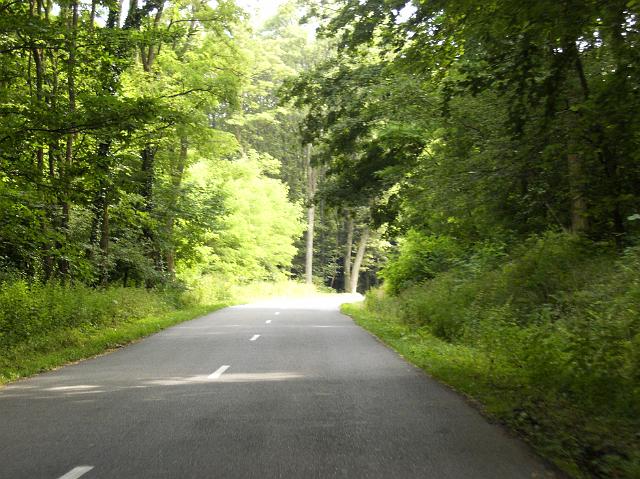 CIMG0416.JPG