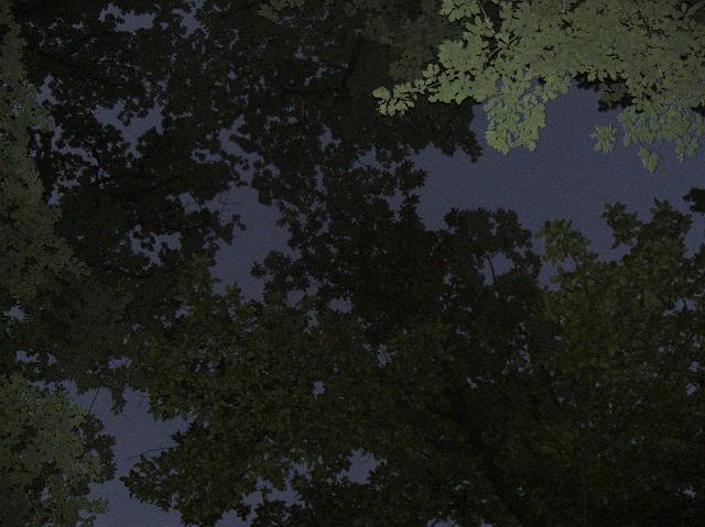 CIMG0442.JPG