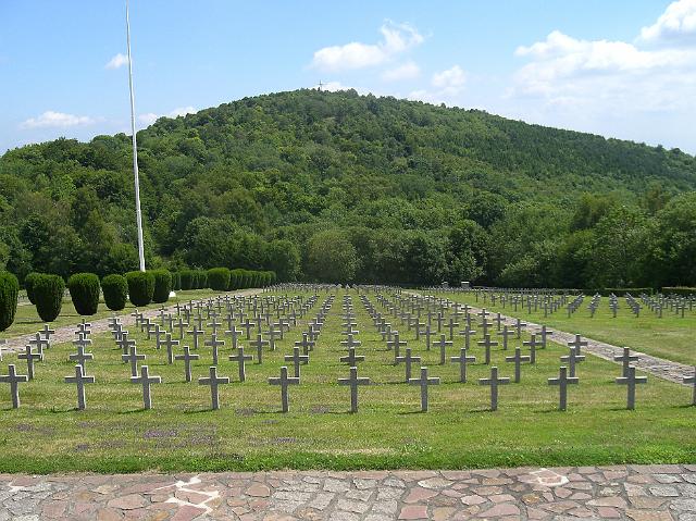 CIMG0462.JPG