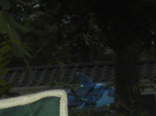 CIMG0523.JPG