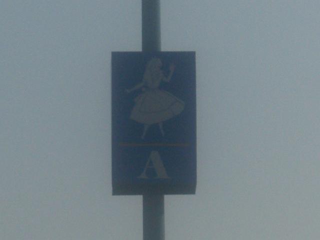 CIMG0625.JPG