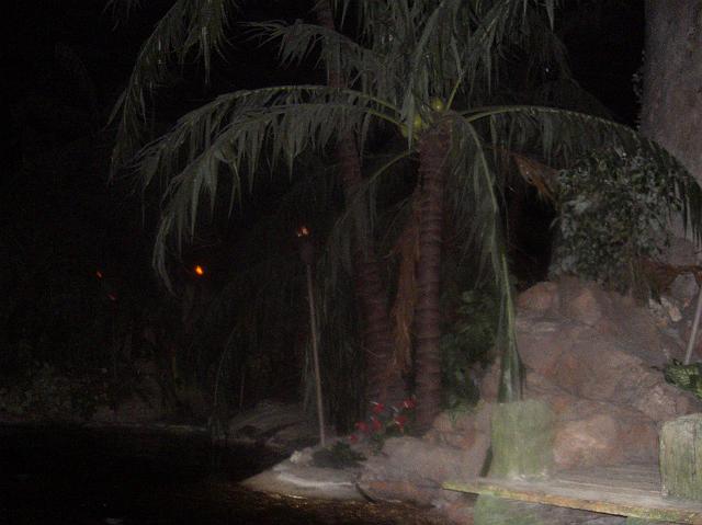 CIMG0657.JPG