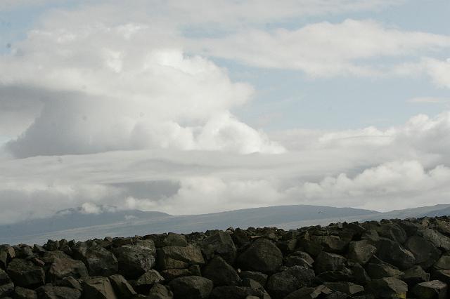 _MG_9771.JPG
