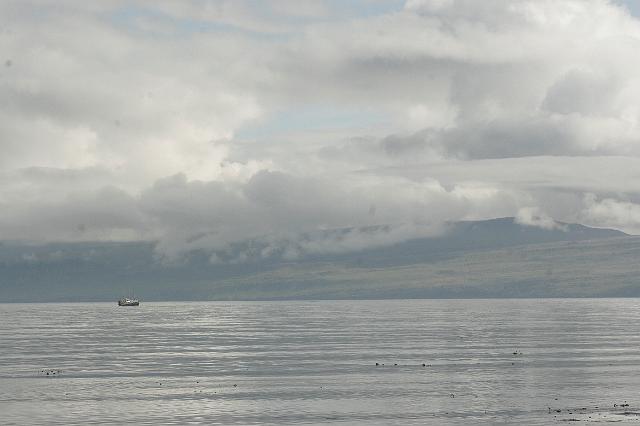 _MG_9808.JPG