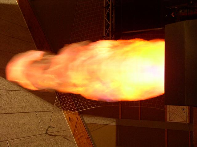 P1010278.JPG