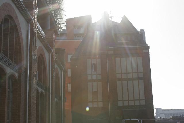 _MG_3725.jpg