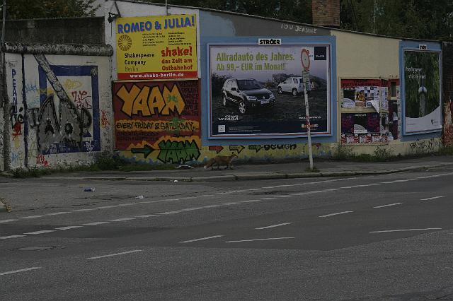 _MG_4027.jpg