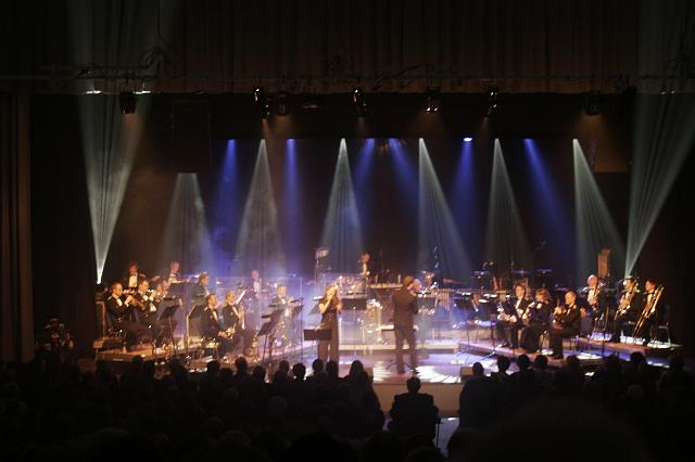 _MG_8460.jpg